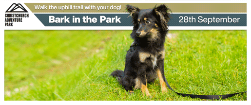 Website Home Page Banner