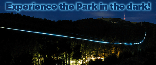 Christchurch Adventure Park Experience The Park in The Dark